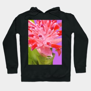 Colorful Tropical Bromeliad Flower in Pink, Purple, Lavender and Green Hoodie